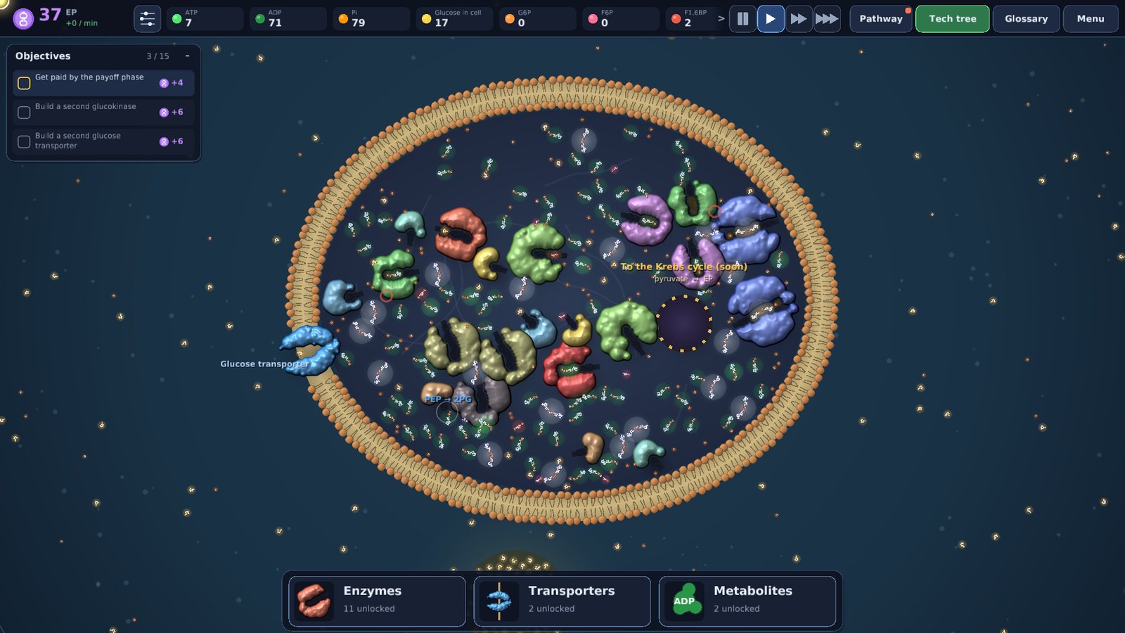 A bacterium full of enzymes in Microbe Mogul, with food drifting outside